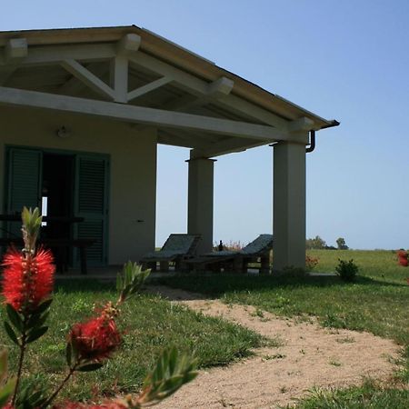 Agriturismo Podere 678 Grosseto Exterior photo